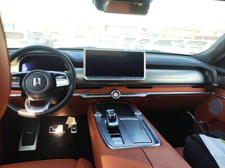 Tank 700 Hybrid 2024 2024款 Hi4-T 极境版