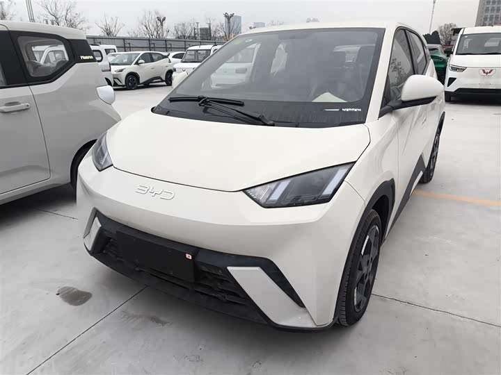 BYD Seagull 2025 2025款 405km 飞翔版