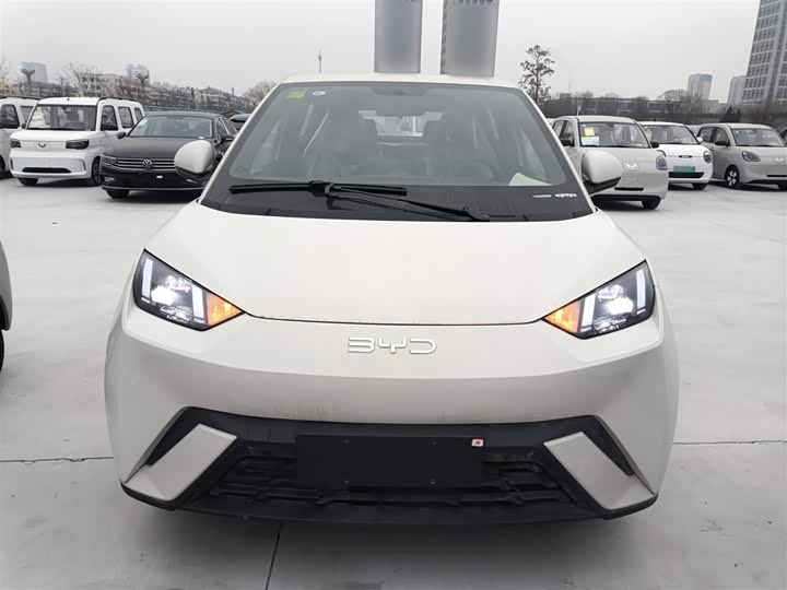 BYD Seagull 2025 2025款 405km 飞翔版