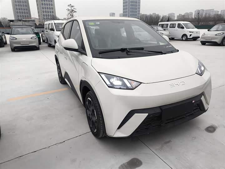 BYD Seagull 2025 2025款 405km 飞翔版