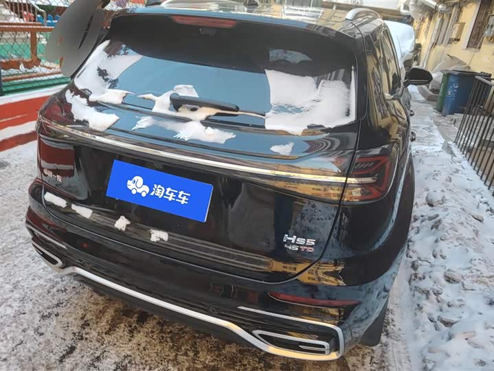 Hongqi HS5 2025 2025款 2.0T 两驱旗悦Pro版