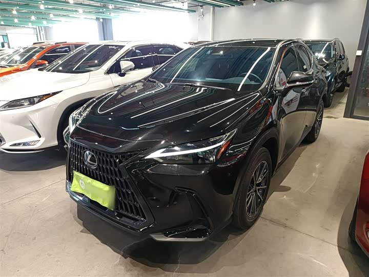 Lexus NX 2024 2024款 260 前驱 创驰版