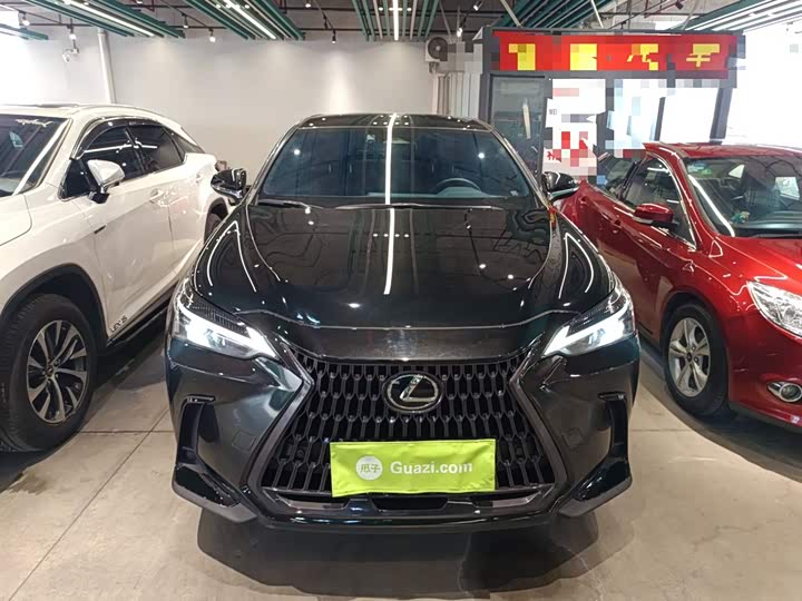 Lexus NX 2024 2024款 260 前驱 创驰版