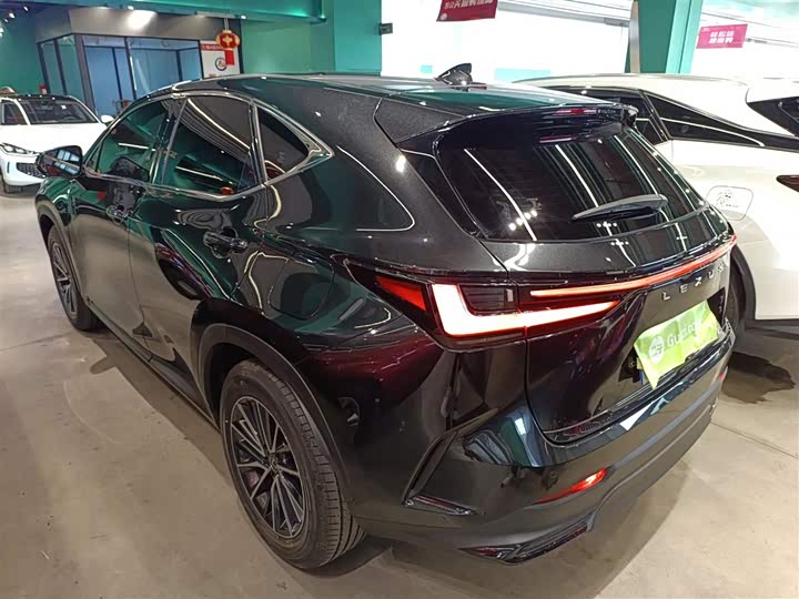 Lexus NX 2024 2024款 260 前驱 创驰版