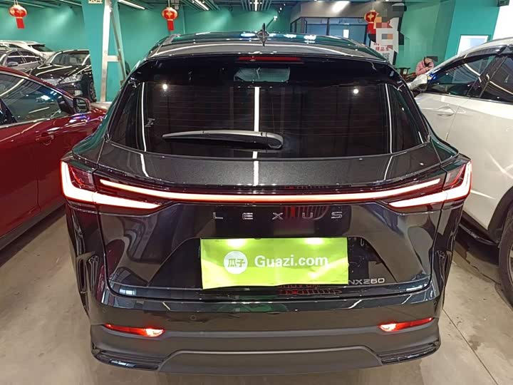 Lexus NX 2024 2024款 260 前驱 创驰版