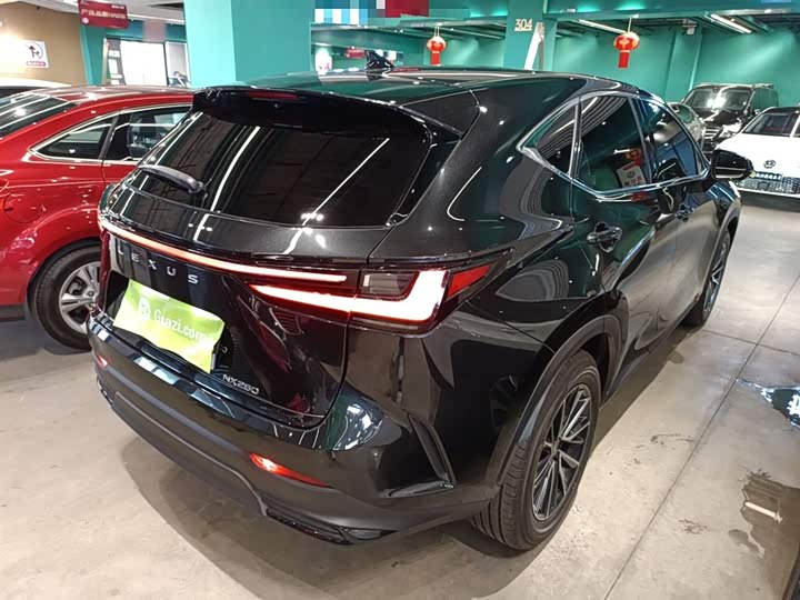 Lexus NX 2024 2024款 260 前驱 创驰版