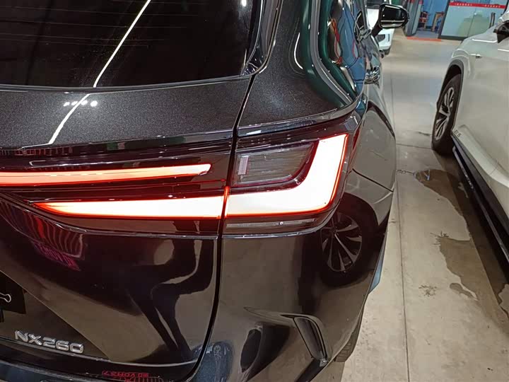 Lexus NX 2024 2024款 260 前驱 创驰版