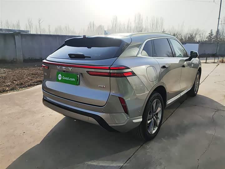 Wey Mocca Hybrid 2024 2024款 Hi4 四驱长续航版
