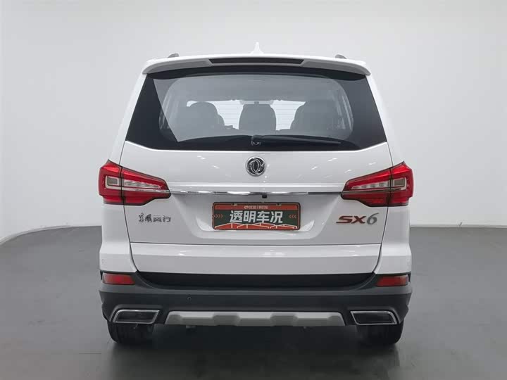 Dongfeng Forthing SX6 2019 2019款 1.6L 手动豪华型 国VI