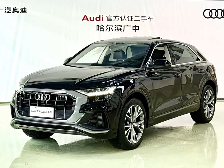 Audi Q8 2022 2022款 55 TFSI 豪华动感型