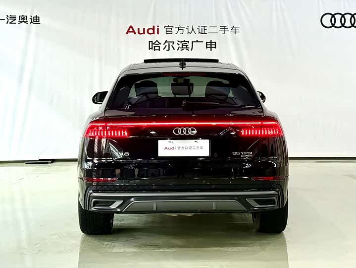 Audi Q8 2022 2022款 55 TFSI 豪华动感型