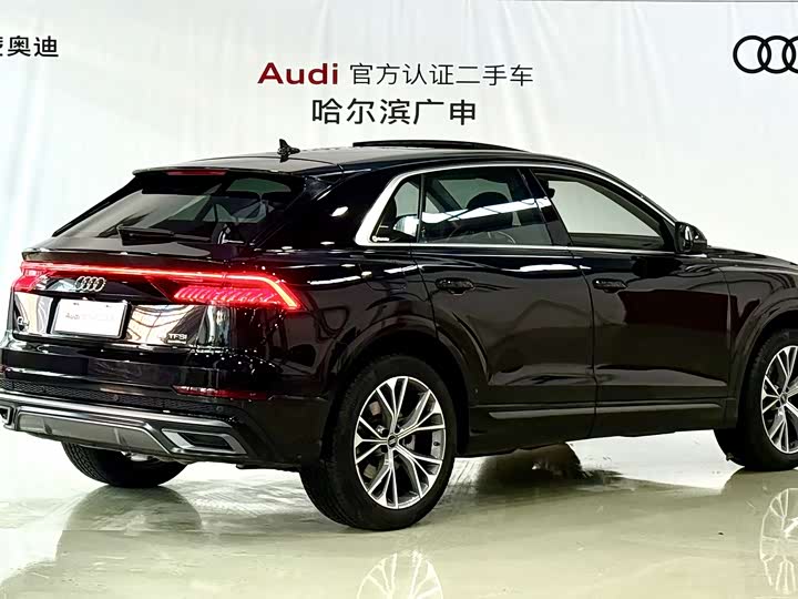 Audi Q8 2022 2022款 55 TFSI 豪华动感型