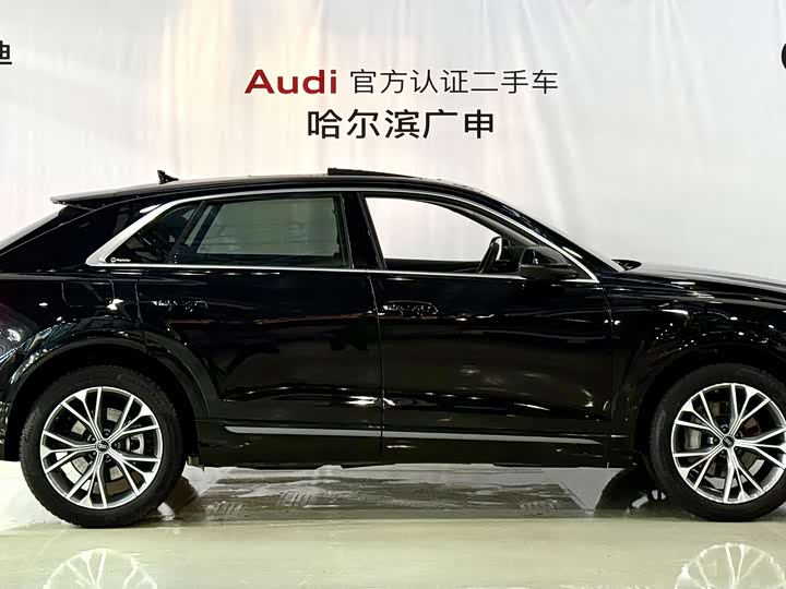 Audi Q8 2022 2022款 55 TFSI 豪华动感型