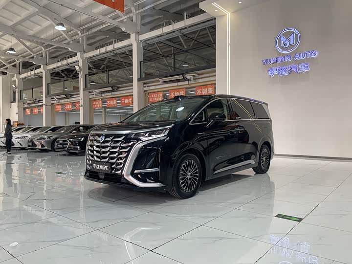 Denza D9 2025 2025款 DM-i 智驾版 1020 四驱尊贵型