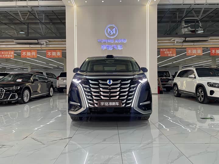 Denza D9 2025 2025款 DM-i 智驾版 1020 四驱尊贵型