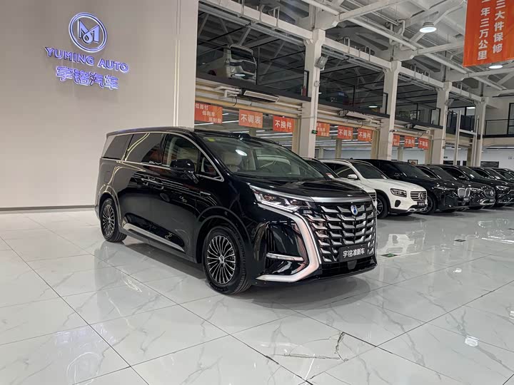 Denza D9 2025 2025款 DM-i 智驾版 1020 四驱尊贵型