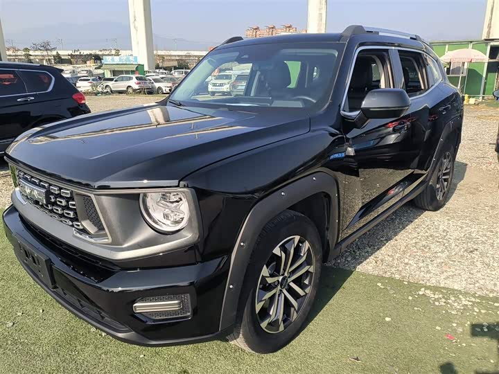 Haval H-Dog 2023 2023款 1.5T 两驱潮野版Plus