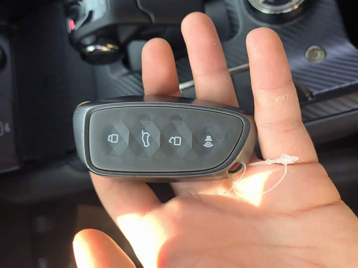 Haval H-Dog 2023 2023款 1.5T 两驱潮野版Plus