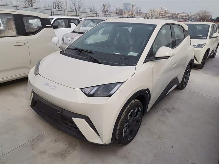 BYD Seagull 2025 2025款 405km 飞翔版