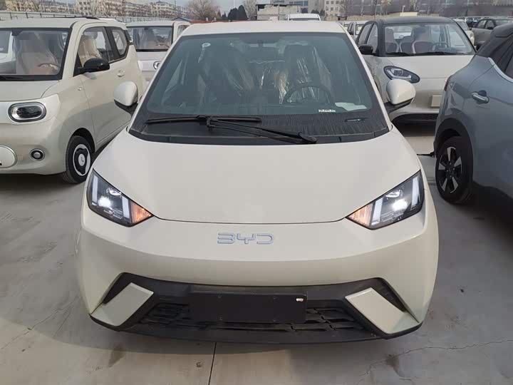 BYD Seagull 2025 2025款 405km 飞翔版