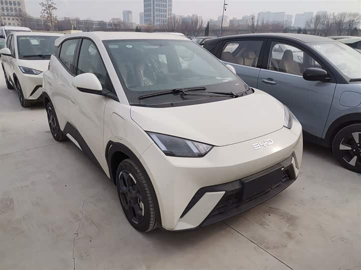 BYD Seagull 2025 2025款 405km 飞翔版