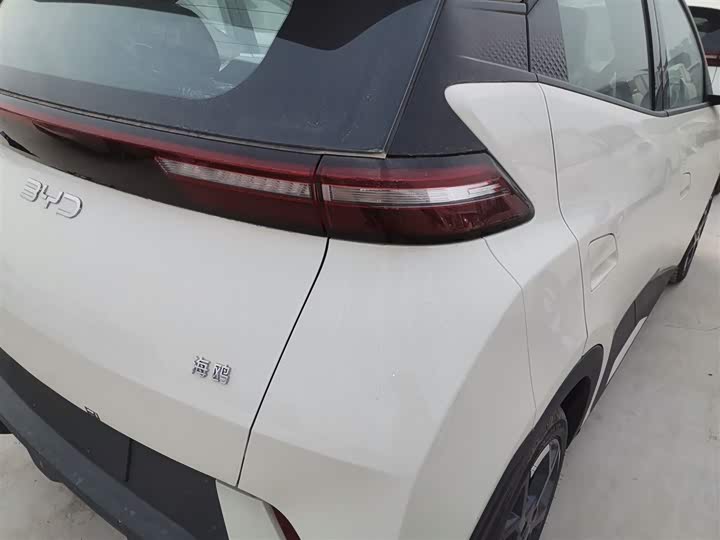 BYD Seagull 2025 2025款 405km 飞翔版