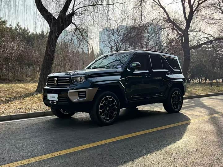 Tank 700 Hybrid 2024 2024款 Hi4-T 极境版