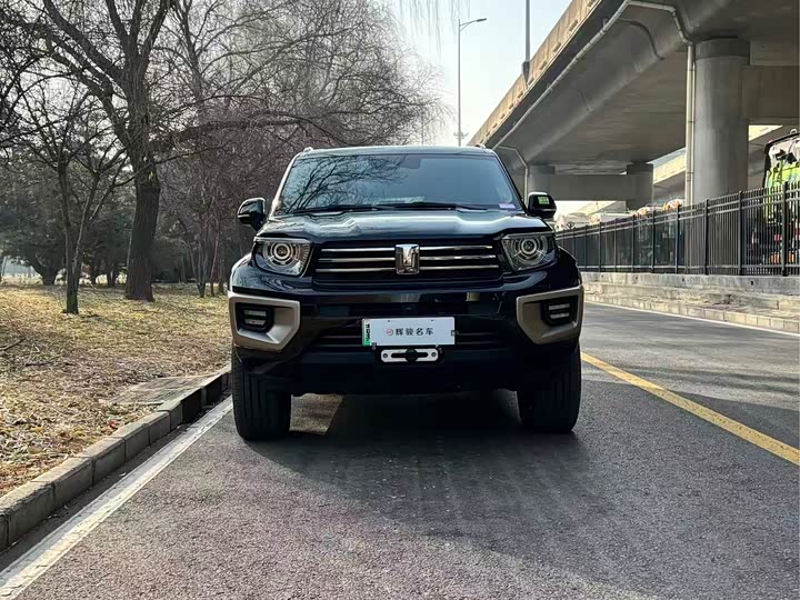 Tank 700 Hybrid 2024 2024款 Hi4-T 极境版