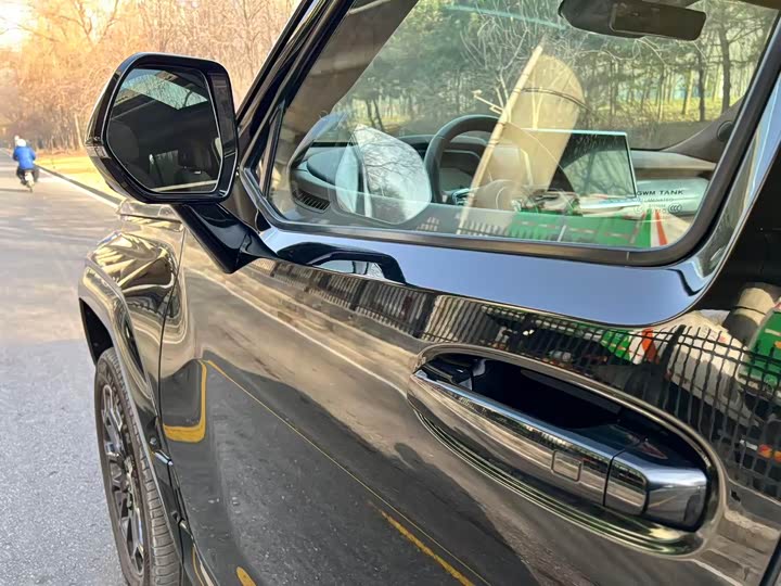 Tank 700 Hybrid 2024 2024款 Hi4-T 极境版