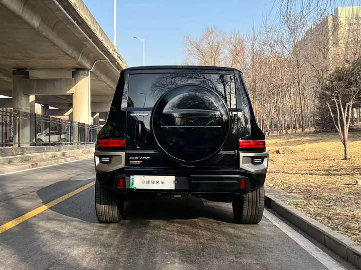 Tank 700 Hybrid 2024 2024款 Hi4-T 极境版