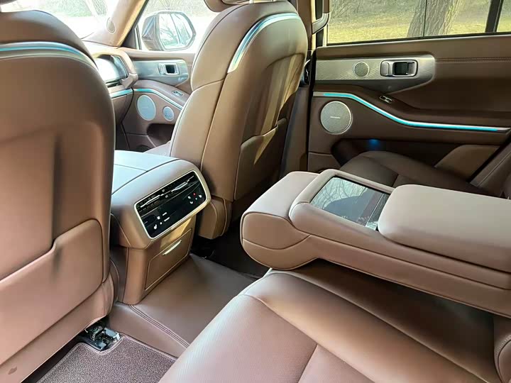 Tank 700 Hybrid 2024 2024款 Hi4-T 极境版