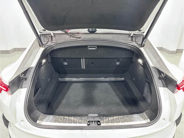 Polestar 4 2024 2024款 双电机长续航PLUS 双星互联版