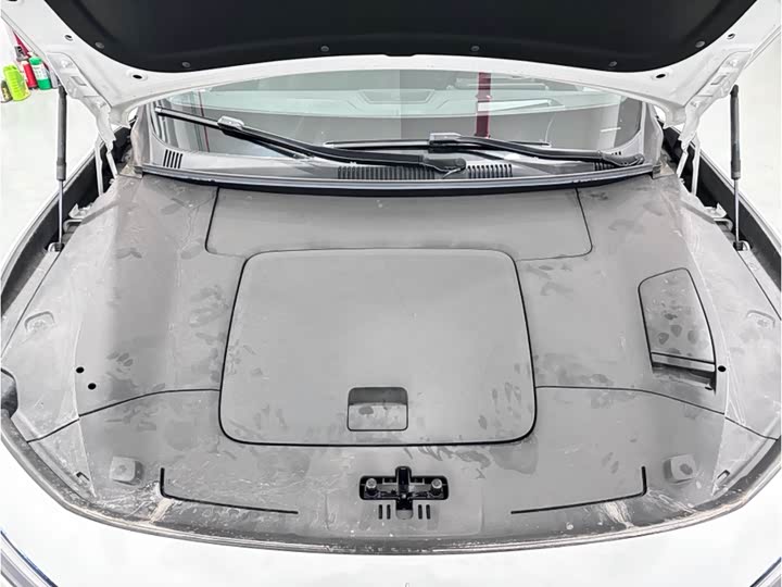 Polestar 4 2024 2024款 双电机长续航PLUS 双星互联版