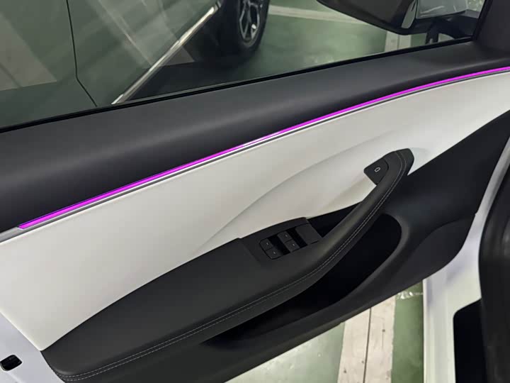 Tesla Model 3 2023 2023款 后轮驱动版