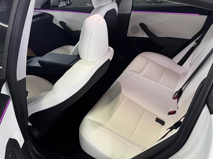 Tesla Model 3 2023 2023款 后轮驱动版