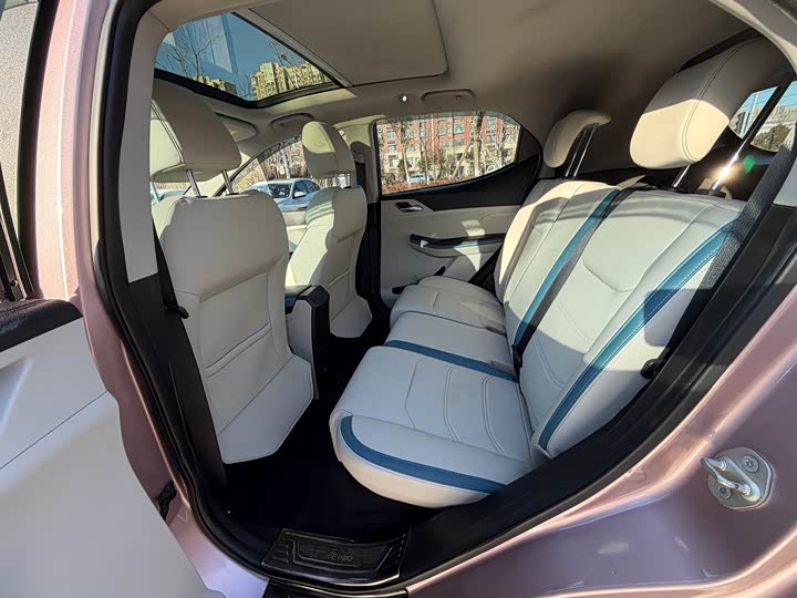 BYD Yuan Pro 2023 2023款 401KM尊贵型