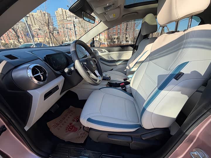 BYD Yuan Pro 2023 2023款 401KM尊贵型