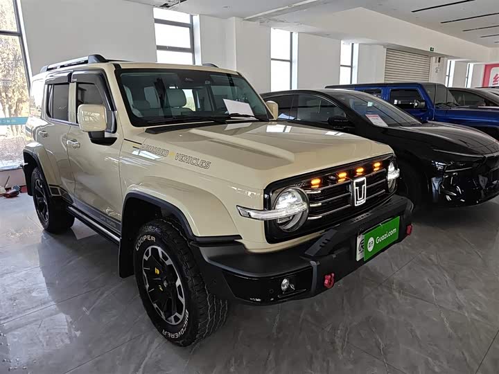 Tank 300 Hybrid 2025 2025款 Hi4-T 37.1kWh