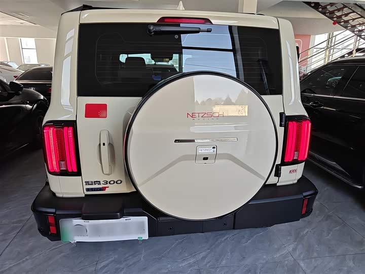 Tank 300 Hybrid 2025 2025款 Hi4-T 37.1kWh