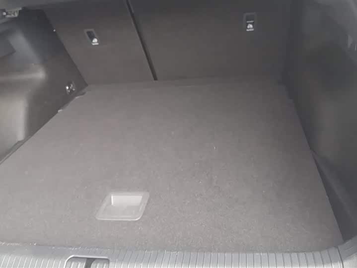 Volkswagen Tiguan X 2021 2021款 330TSI 两驱旗舰版