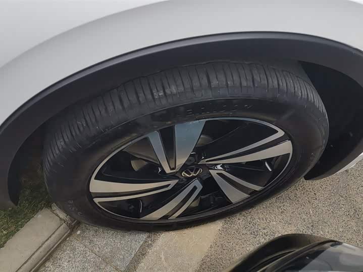 Volkswagen Tiguan X 2021 2021款 330TSI 两驱旗舰版