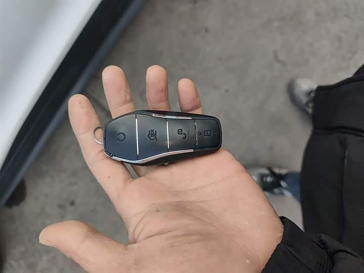 BYD Yuan Pro 2021 2021款 401KM 豪华型