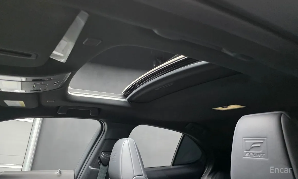 Lexus UX 2024 2.0 F-Sport 2WD