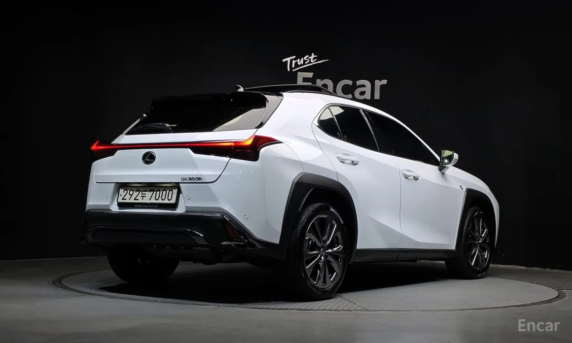 Lexus UX 2024 2.0 F-Sport 2WD