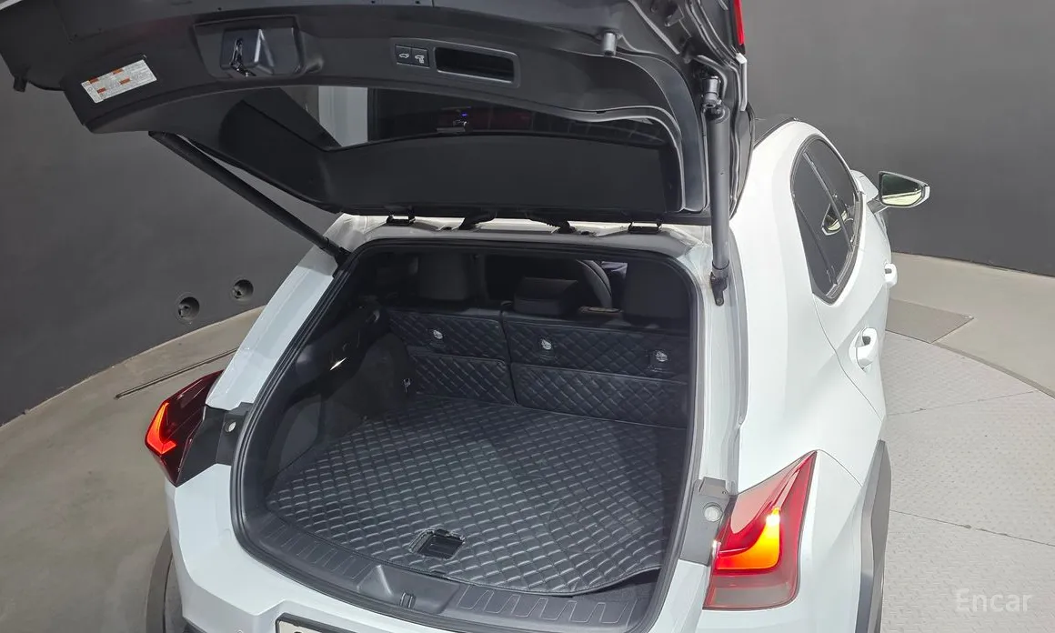 Lexus UX 2024 2.0 F-Sport 2WD