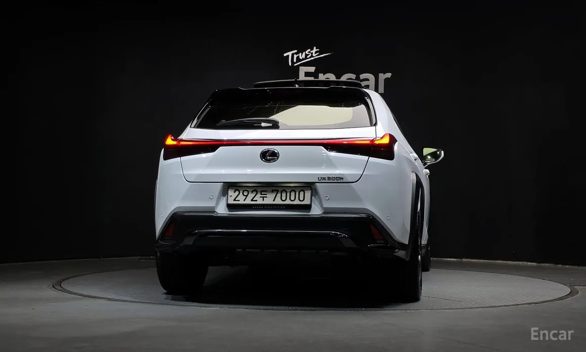 Lexus UX 2024 2.0 F-Sport 2WD