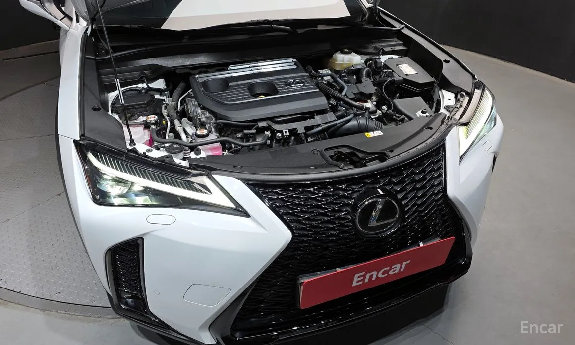 Lexus UX 2024 2.0 F-Sport 2WD
