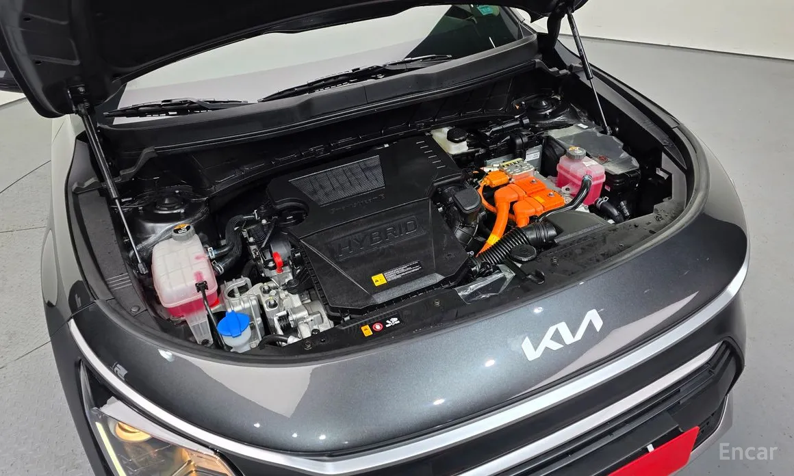 Kia Niro 2022 Trendy