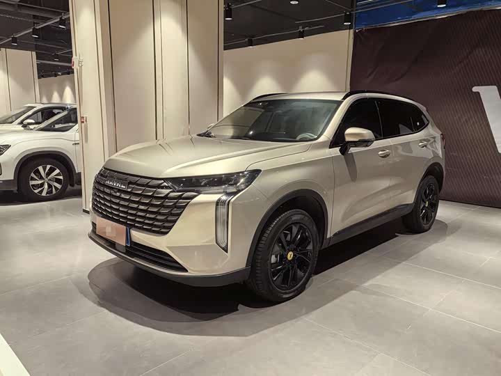 Haval H6 2024 2024款 1.5T 两驱Pro