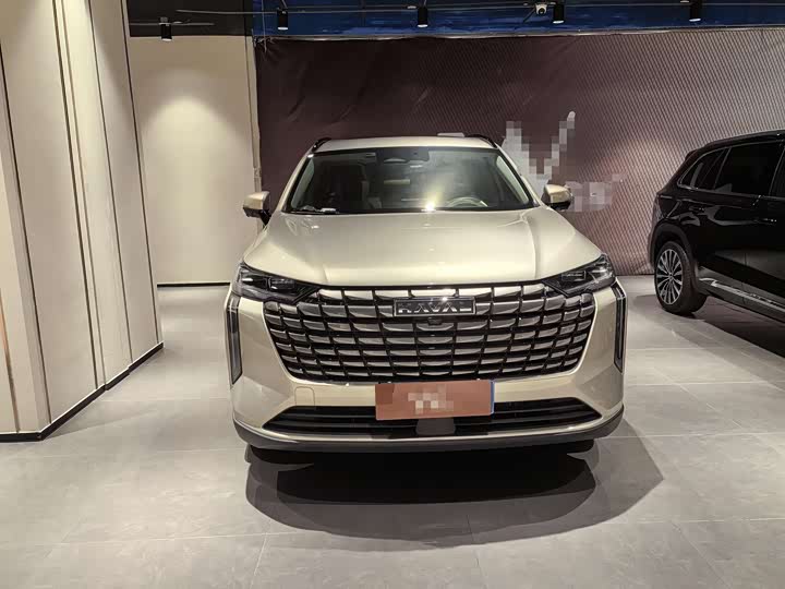 Haval H6 2024 2024款 1.5T 两驱Pro